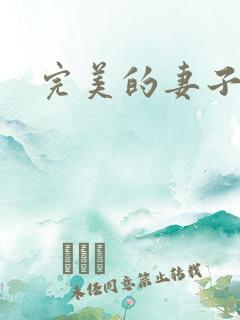 完美的妻子韩剧