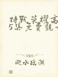 特战荣耀高清45集免费观看全集