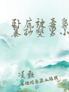 卧底被毒枭囚禁暴吵双男小说