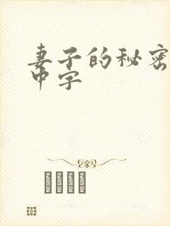 妻子的秘密电影中字