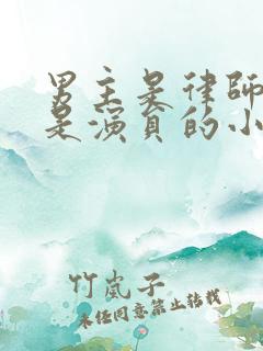 男主是律师女主是演员的小说