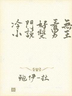 冷门好看无限流小说双男主