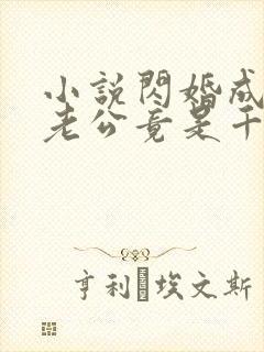 小说闪婚成宠,老公竟是千亿大佬