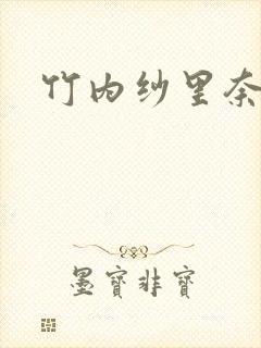 竹内纱里奈资源
