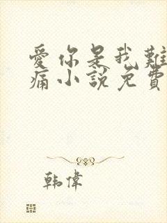 爱你是我难言的痛小说免费阅读