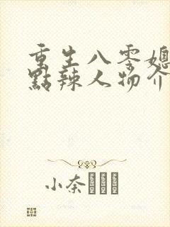 重生八零媳妇有点辣人物介绍