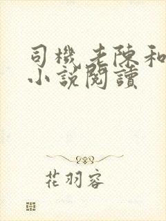 司机老陈和李青小说阅读