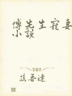傅先生宠妻无度小说