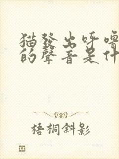 猫发出呼噜呼噜的声音是什么原因