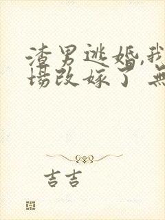 渣男逃婚,我当场改嫁了 无弹窗