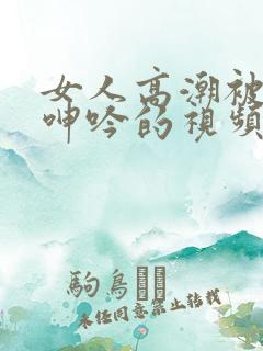 女人高潮被爽到呻吟的视频