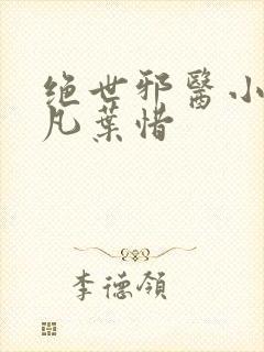 绝世邪医小说林凡叶惜
