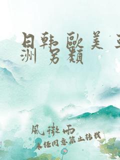 日韩 欧美 亚洲 另类