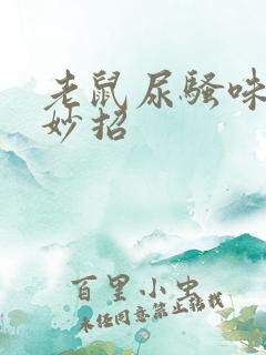 老鼠尿骚味去除妙招