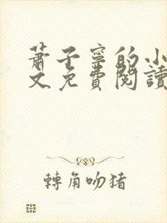 萧子宁的小说全文免费阅读无弹窗