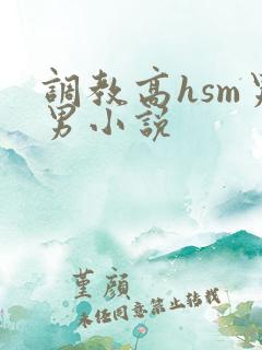 调教高hsm男男小说
