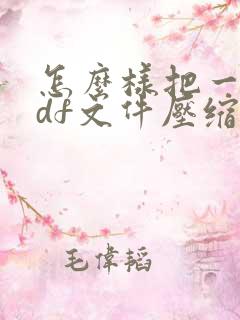 怎么样把一个pdf文件压缩到最小