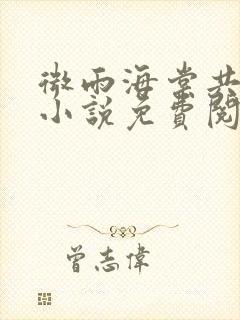 微雨海棠共归途小说免费阅读