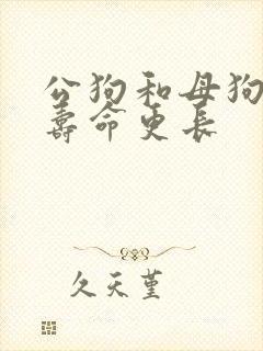 公狗和母狗哪个寿命更长