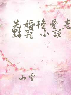 先婚后爱老公轻点宠 小说