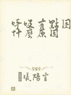 呼吸有点困难是什么原因