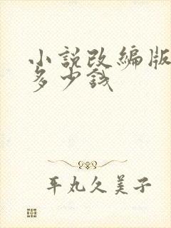 小说改编版权费多少钱