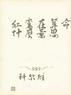红鸾在算命中是什么意思