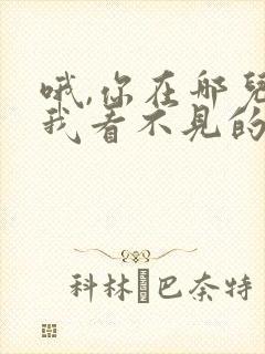 哦,你在哪儿?我看不见的歌名