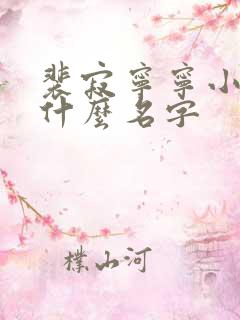 裴寂宁宁小说叫什么名字