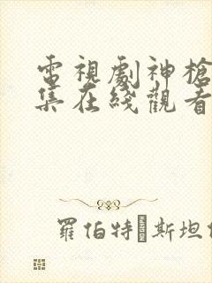 电视剧神枪手全集在线观看免费全集