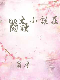 np文小说在线阅读
