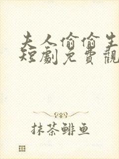 夫人偷偷生崽了短剧免费观看