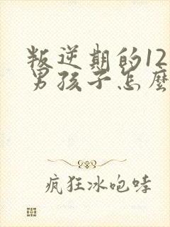 叛逆期的12岁男孩子怎么去引导