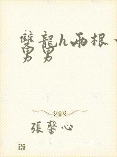 双龙h两根一起男男