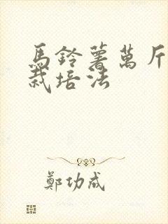 马铃薯万斤高产栽培法