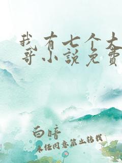 我有七个大佬哥哥小说免费听书