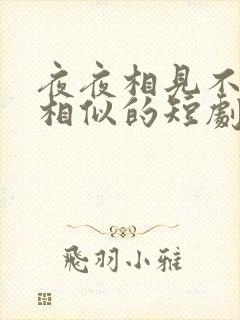 夜夜相见不识君相似的短剧