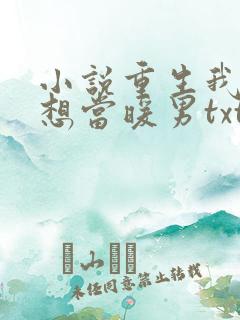 小说重生我真没想当暖男txt