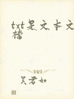 txt是文本文档