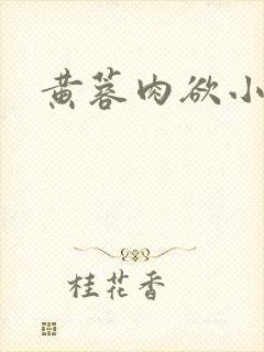 黄蓉肉欲小说