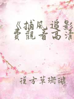 《捕风追影》免费观看高清国语版