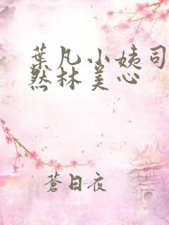 叶凡小姨司空嫣然林美心