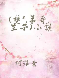 (双*,弟哥,生子)小说
