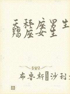 天秤座男生和摩羯座女生