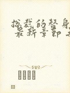 总裁的替身前妻 最新章节 无弹窗