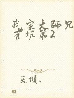 我家大师兄脑子有坑第2