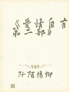 《爱情自有天意第二部》