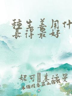 种生姜用什么肥长得最好