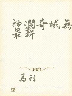 神澜奇域无双珠最新