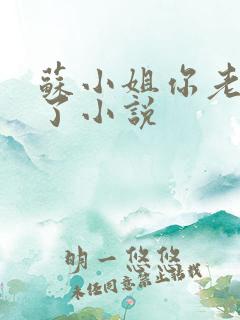 苏小姐你老公掉了小说